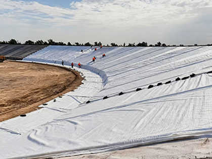 Nonwoven Geotextile